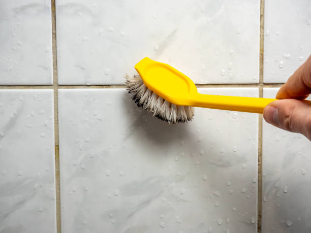 Best Water Damage Restoration  in Douglas, AL