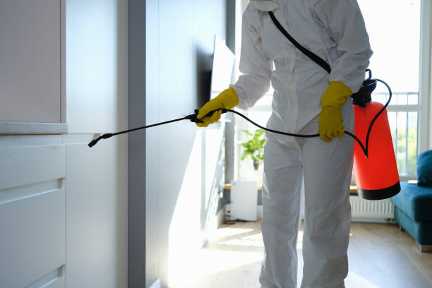 Best Office Mold Removal Services  in Douglas, AL