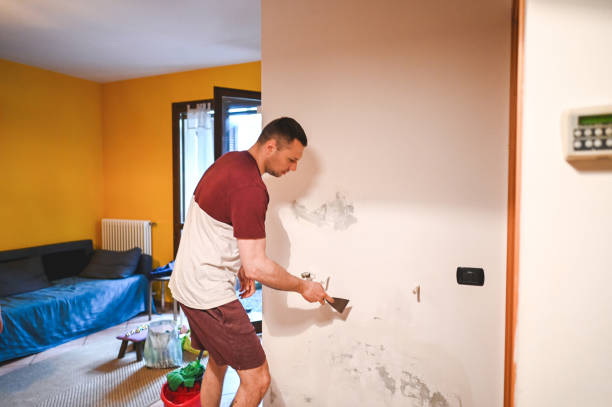 Best Local Mold Removal Service  in Douglas, AL
