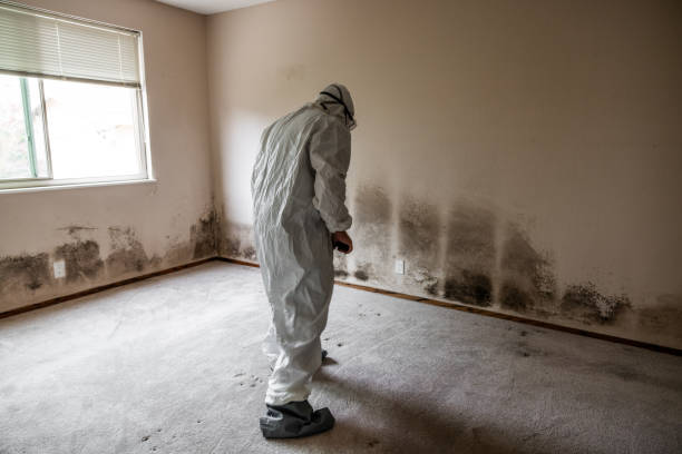 Best Emergency Mold Removal  in Douglas, AL