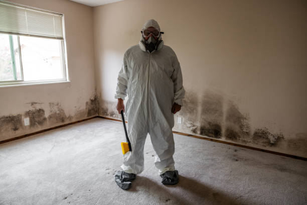 Best Toxic Mold Removal  in Douglas, AL