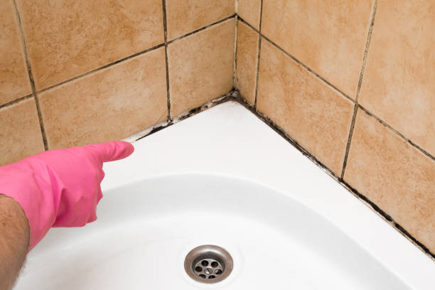 Best Commercial Mold Removal  in Douglas, AL
